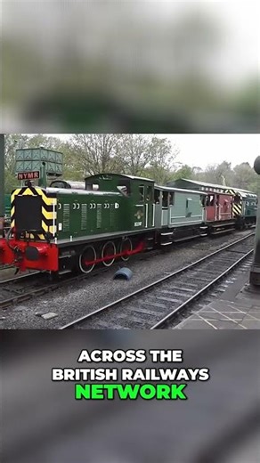 British Rail Locomotives Early Withdrawal Explained #Class04, #Diesel, #fyp