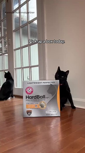 HardBall Cat Litter: The Ultimate Solution for a Clean Litter Box