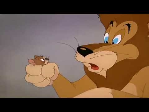 Tom and Jerry - Episode 50 - Jerry and the Lion - Part 1 Cartoon HD