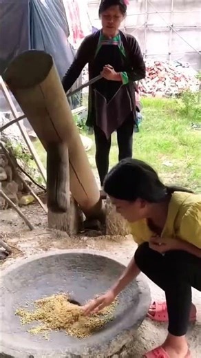 Pounding process of grains into powder