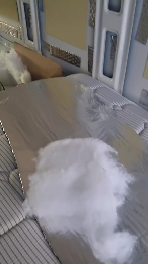 INDI_VAN_A_JONES on TikTok