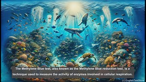 Methylene blue test in biology