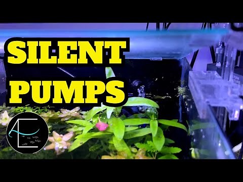 TESTED: The Quietest Air Pumps for Your Aquarium