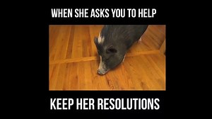 38K views · 16 reactions | Find the right accountability partner for 2019! Stay on track with your health and wellness goals, try BurnAlong today! Your first month is FREE! www.BurnAlong.com | Burnalong | Facebook