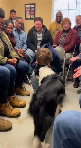 Dog Adoption Stories : He Know Who To Choose 🐕🐩 #crime #adoptionstory #dogadoption #pet