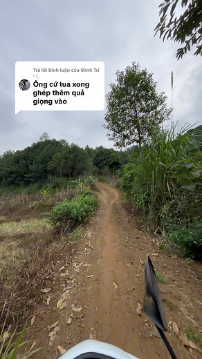 Hiểu tiếng máy và leo đồi với aem
