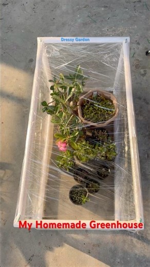 I Built A Greenhouse Using Only Trash