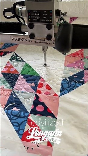 Fossilized | Modern Edge-to-Edge Quilting Pantograph from Longarm League