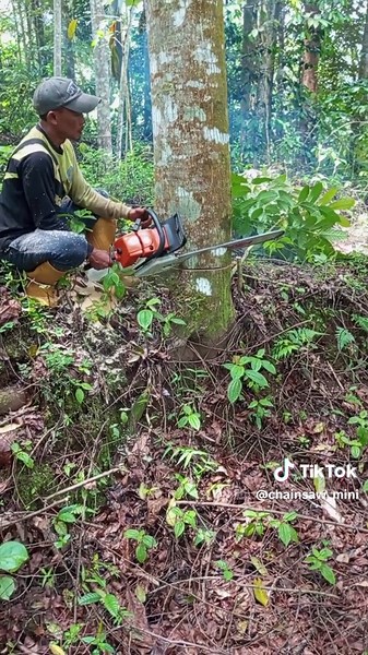 Operator Senso Mini: Woodworking Made Easy