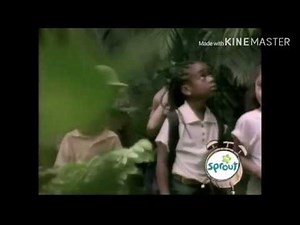 Sesame Street - B (Jungle/City)