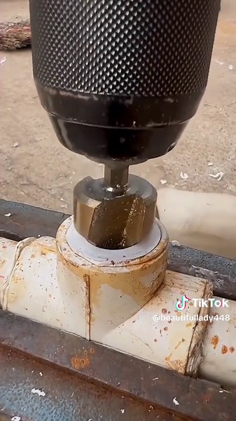 beautiful_animal_lover🥰🥰 (@beautifullady448)’s videos with original sound - Senior Citizen