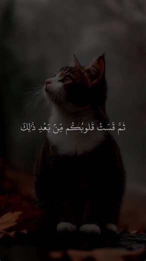 تلاوة خاشعة للمنشاوي رحمة الله — إذاعة القرآن الكريم