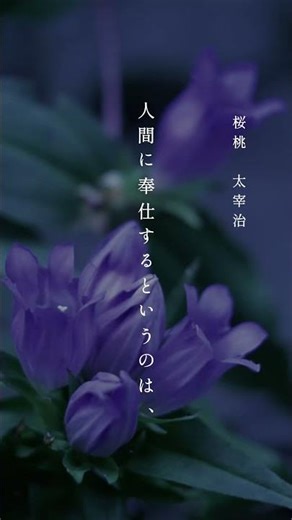 答えなど、ないのかもしれない。それでも、進む。【朗読】太宰治『桜桃』