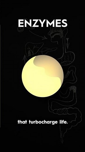 How Enzymes Speed Up Reactions FAST ⚡ | Biology Hack