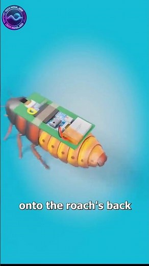 How Cyborg Cockroaches Work? Science Behind Insect Robots #shorts