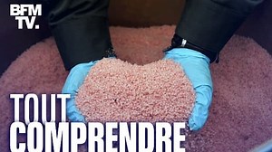 TOUT COMPRENDRE - Nitrate d'ammonium: stocké par milliers de tonnes, représente-t-il un danger en France?