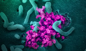 Recovered From Coronavirus But Reeling Under New Diabetes, Finds Study