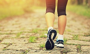 Phân biệt 'walking', 'trekking', 'hiking'