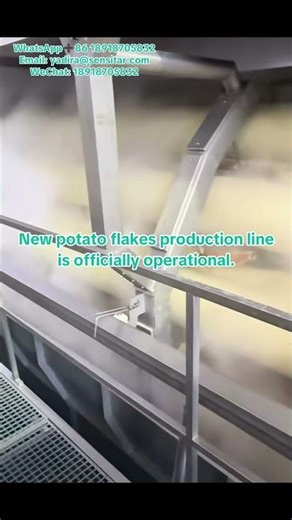 Potato Powder Production Line