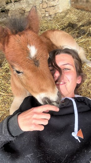 Mon bebe ♥️ #cadeau #complicité #complicity #pourtoi #tiktok #foryou #poney #shetland #shetlandpony #amour #opif #poulain