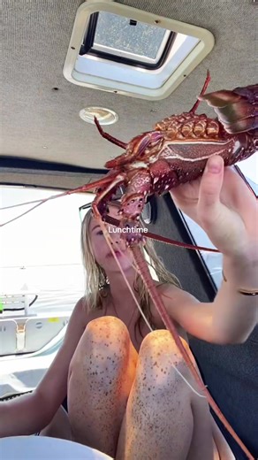 Loving summer #crayfish #aus #summer | crawfish