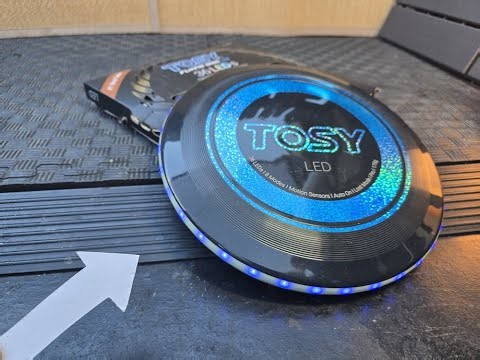 How Much I Enjoy this Blue LED Flying Disc to Play With Dogs at Park