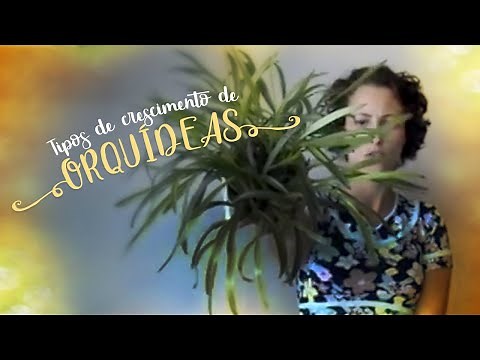 Como Cuidar de Orquídeas - Tipos de crescimento
