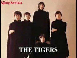 The Tigers - Smile For Me