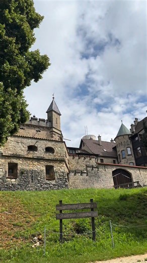 Castles are magnificent fortresses that stand as timeless symbols of power, protection, and prestige. Originating in medieval Europe around the 9th century, they were built by kings, nobles, and knights to defend territories, control lands, and showcase authority. Constructed mainly from stone, castles featured towering walls, moats, drawbridges, and watchtowers designed to withstand sieges and attacks. Beyond their defensive strength, castles also served as luxurious homes, political centres, a