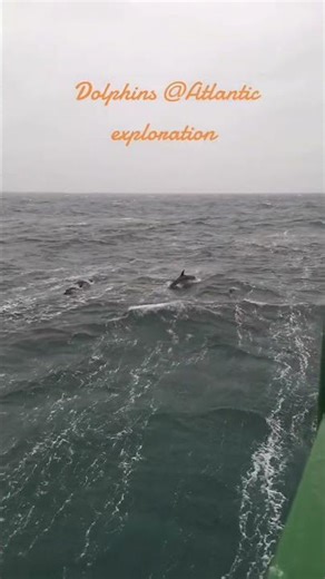 ##ya yatra. Atlantic exploration. life Below water... save planet.. 🌏🌍♥️