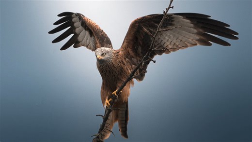 How to Create a Dark Blue Aesthetic in Lightroom