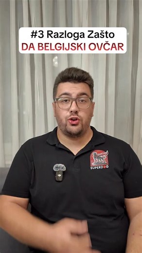 DRESURA🐶KURSEVI🐕HOTEL on Instagram: "Top 3 razloga zašto nabaviti belgijskog ovčara Malinoa! #superdog #nepostojilospas #belgijskiovčar"