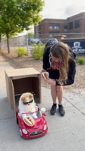 1M views · 39K reactions | Here is my FIRST Rocket Fluff Adventure...