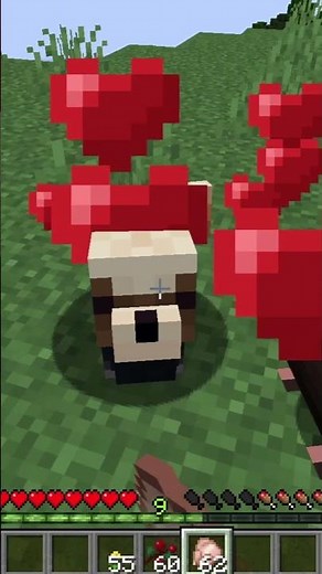 小動物と触れ合えるMod！ #minecraft #mod