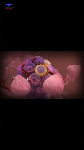 Insulin ( produced by beta cells of pancreas ) . #insulin #pancreas #hormones