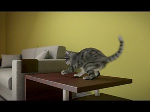 Realistic 3D cat animation study