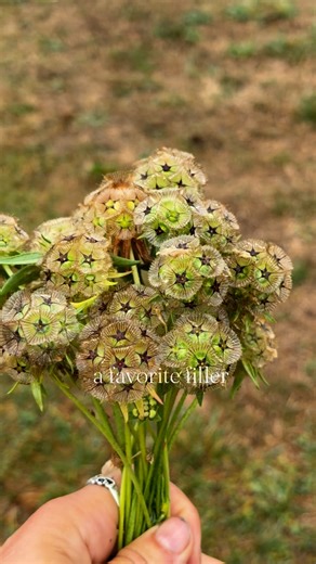 57K views · 6.5K reactions | The perfect easy addition for bouquets...