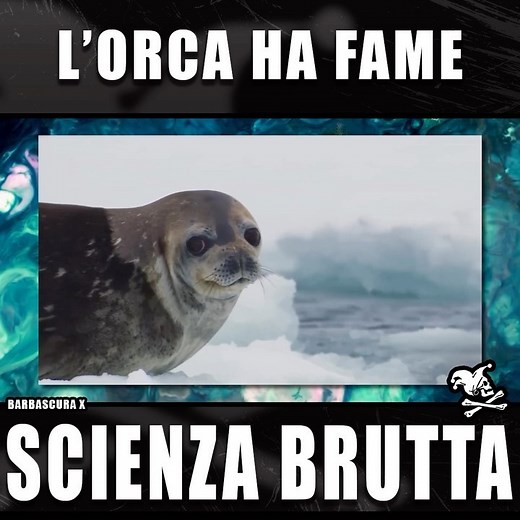 Barbascura X | Chi dimentica è complice. Sono felice di non essere sul loro menu. Ps: stiamo lavorando da mesi sul nuovo scienza brutta. Purtroppo c’è... | Instagram