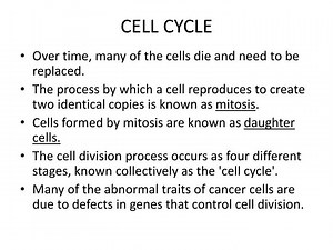 CELL CYCLE - SlideServe