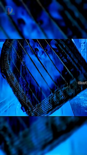 127K views · 2.6K reactions | Người cha tỉnh dậy trong thân xác một con mèo #phimmoi #movies #moviescene #film #review #phimhay #reviewphim #reels #xuhuong #thinhhanh #giaitri #gem88 #gem88media #gem88com | Rạp Phim Tại Gia 1.0 | Facebook