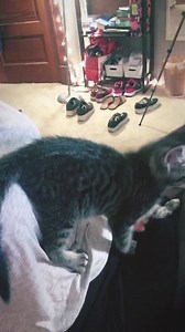 Feli from Germany on Reels