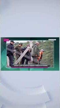 #Loret. Kenzo the tiger's death during capture sparks criticism of the operation. #Latinus