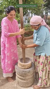 12M views · 10K reactions | Palmyra sprout powder at farm To order our farm fresh products click the link in our bio | OrganicFarmer | Facebook