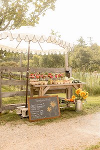 Our roadside farm stand set up