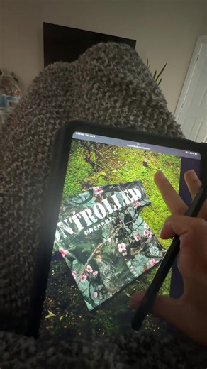 @Controlled insanity