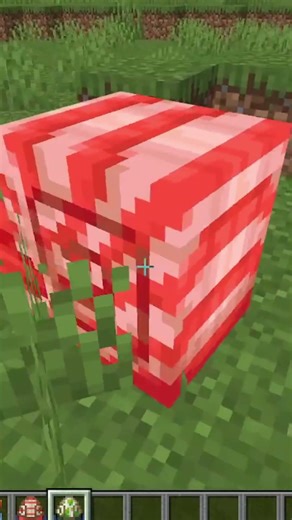 Everything you need to know about the new Minecraft Nautilus!