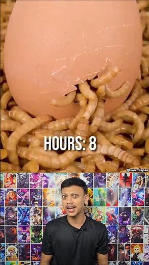 Boiled Egg vs 10,000 Worms! 🪱🥚