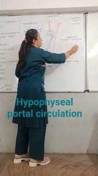 hypophyseal portal circulation #biology #ncert #education #neet 2026#11th #biology #ch.19