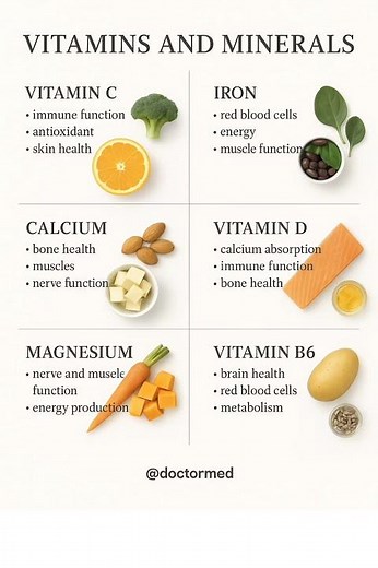 Vitamins & Minerals You MUST Know for a Healthy Body | Beginner-Friendly Nutrition Guide
