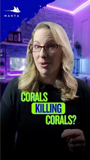 Your corals look peaceful — but they’re fighting a chemical war.